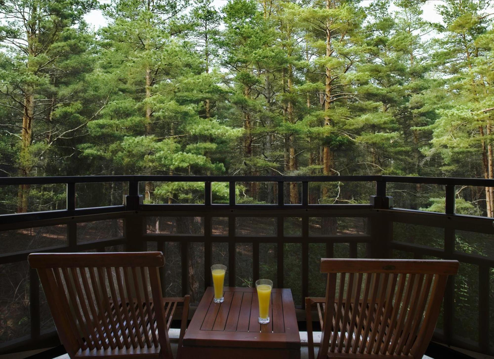 Asteria Family Resort Belek Antalia Esterno foto A view of the forest from the balcony of a guest room